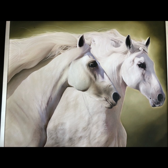 Meet your Posher, Leo - Picture 1 of 1